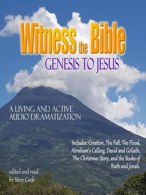 cover image of Witness the Bible